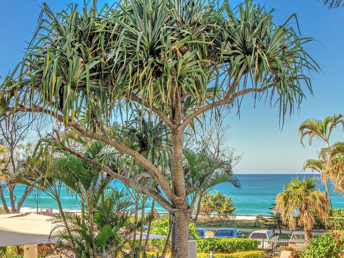 Oceana On Broadbeach Εξωτερικό φωτογραφία